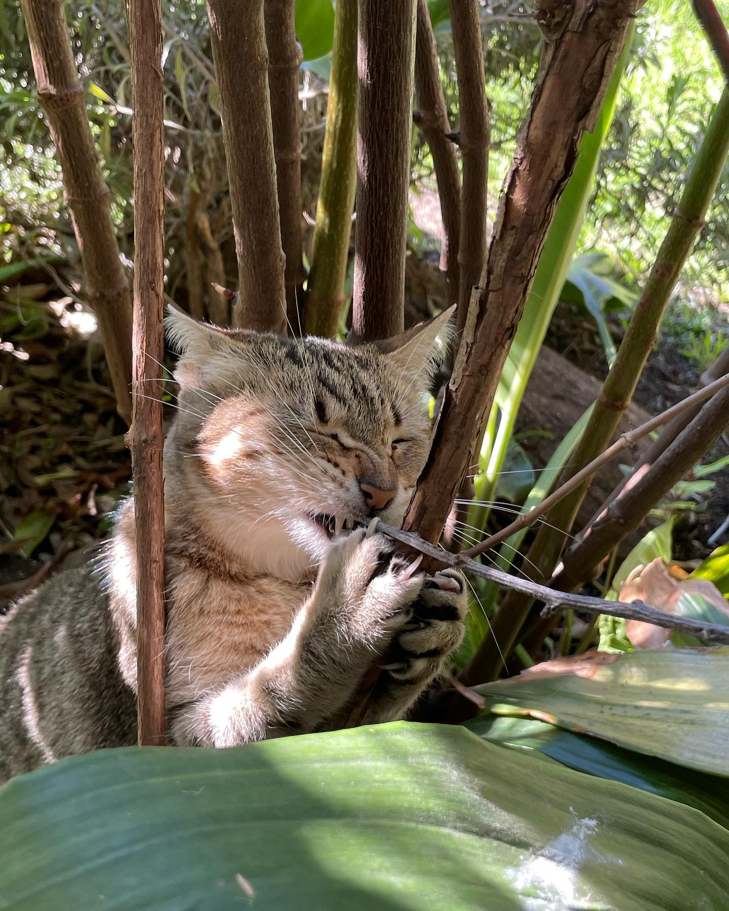 shunli__mei instagram image archive image