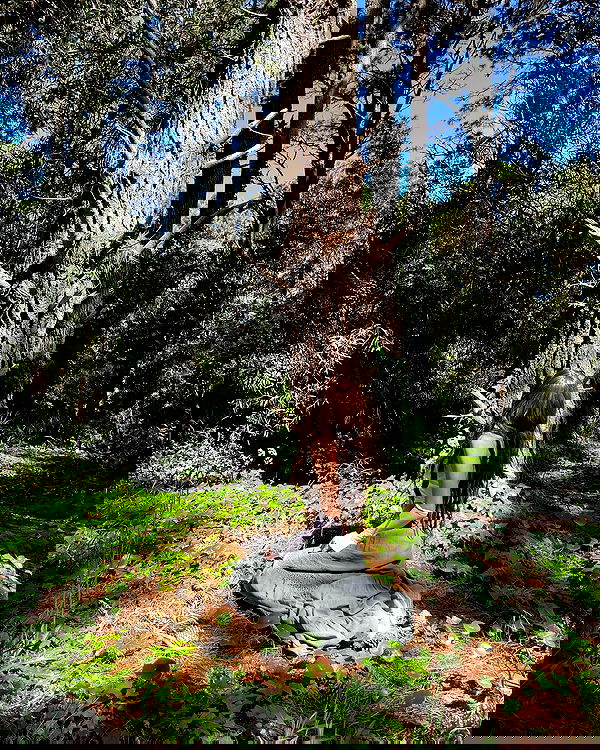 shunli__mei image ~ Altpins