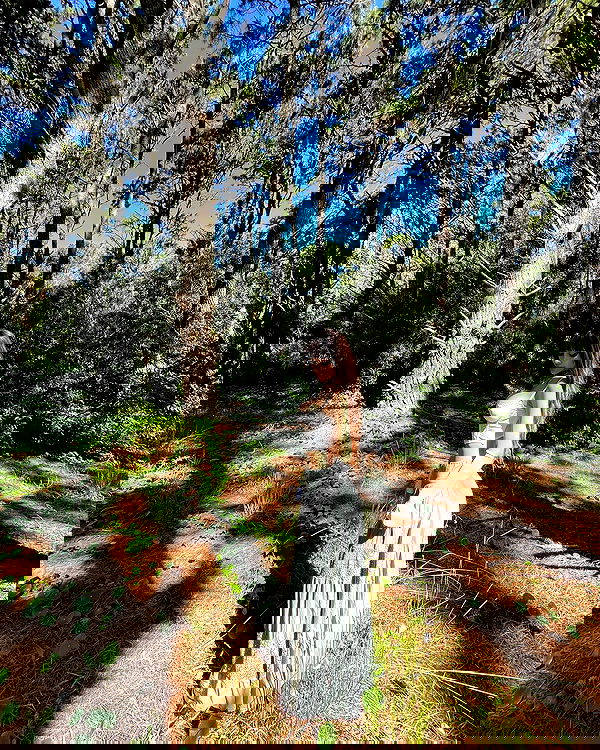 shunli__mei image ~ Altpins