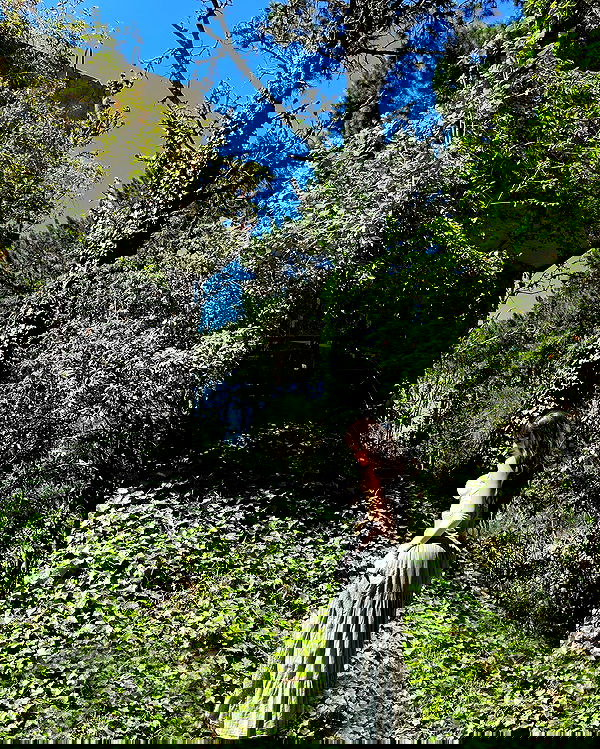 shunli__mei image ~ Altpins