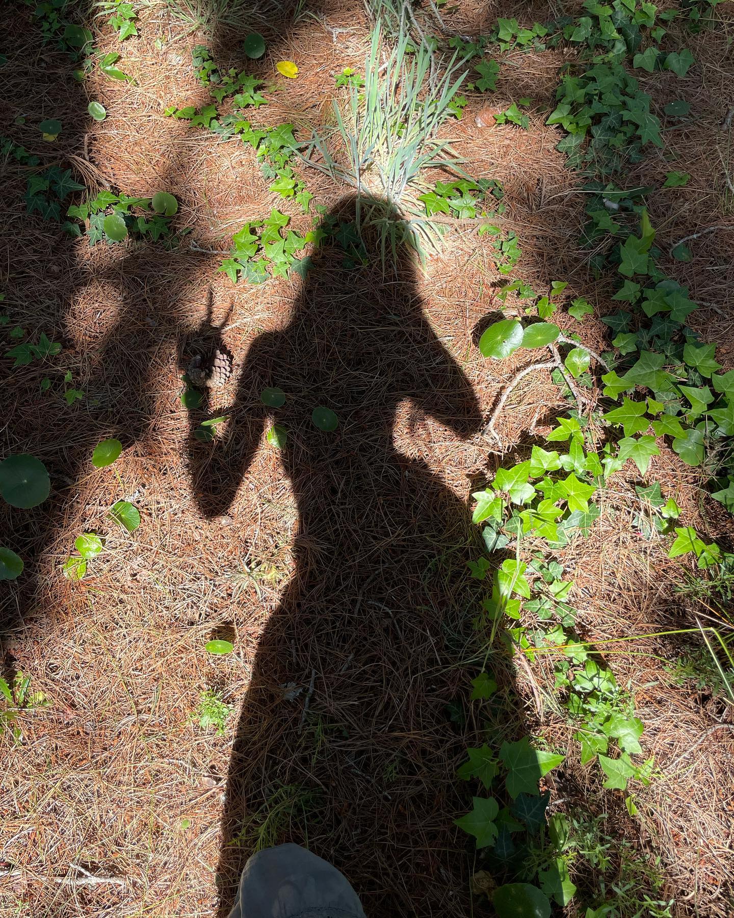 shunli__mei instagram image archive image