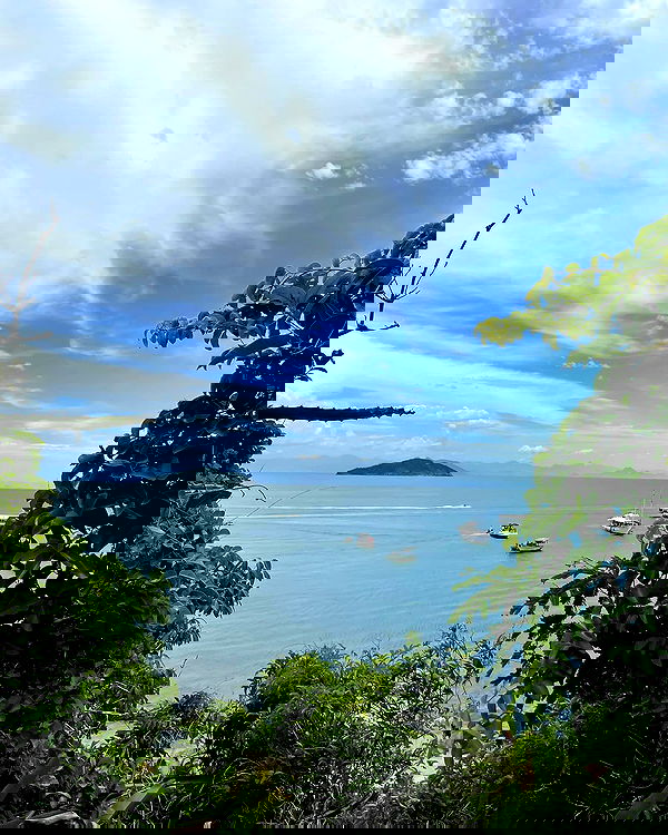 shunli__mei image ~ Altpins