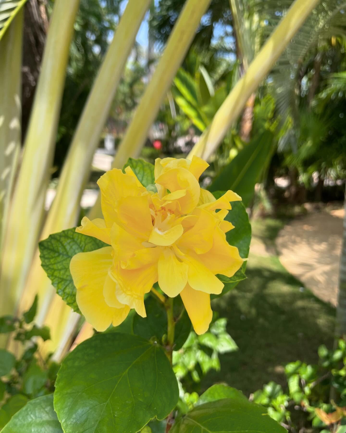 shunli__mei instagram image archive image