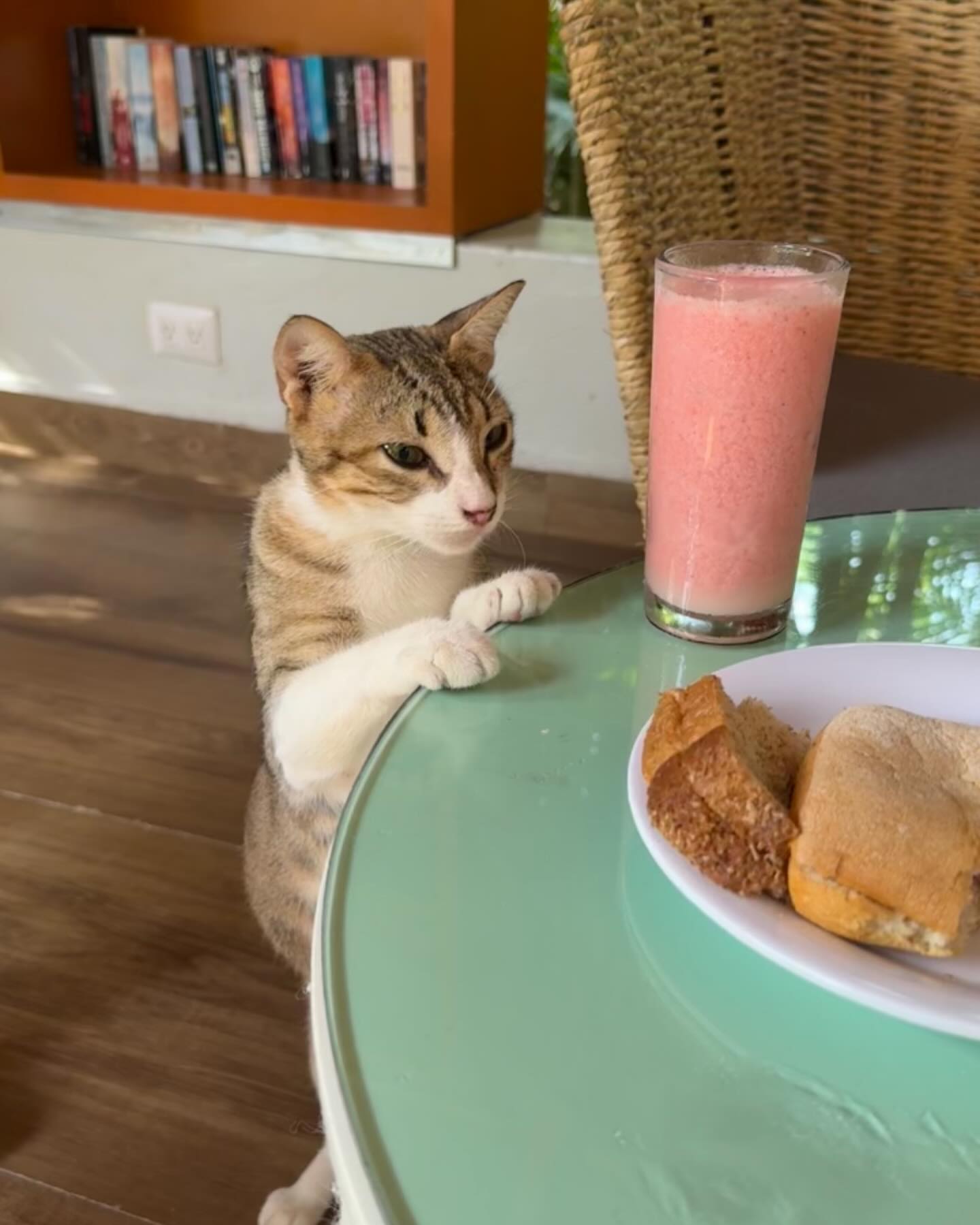 shunli__mei instagram image archive image