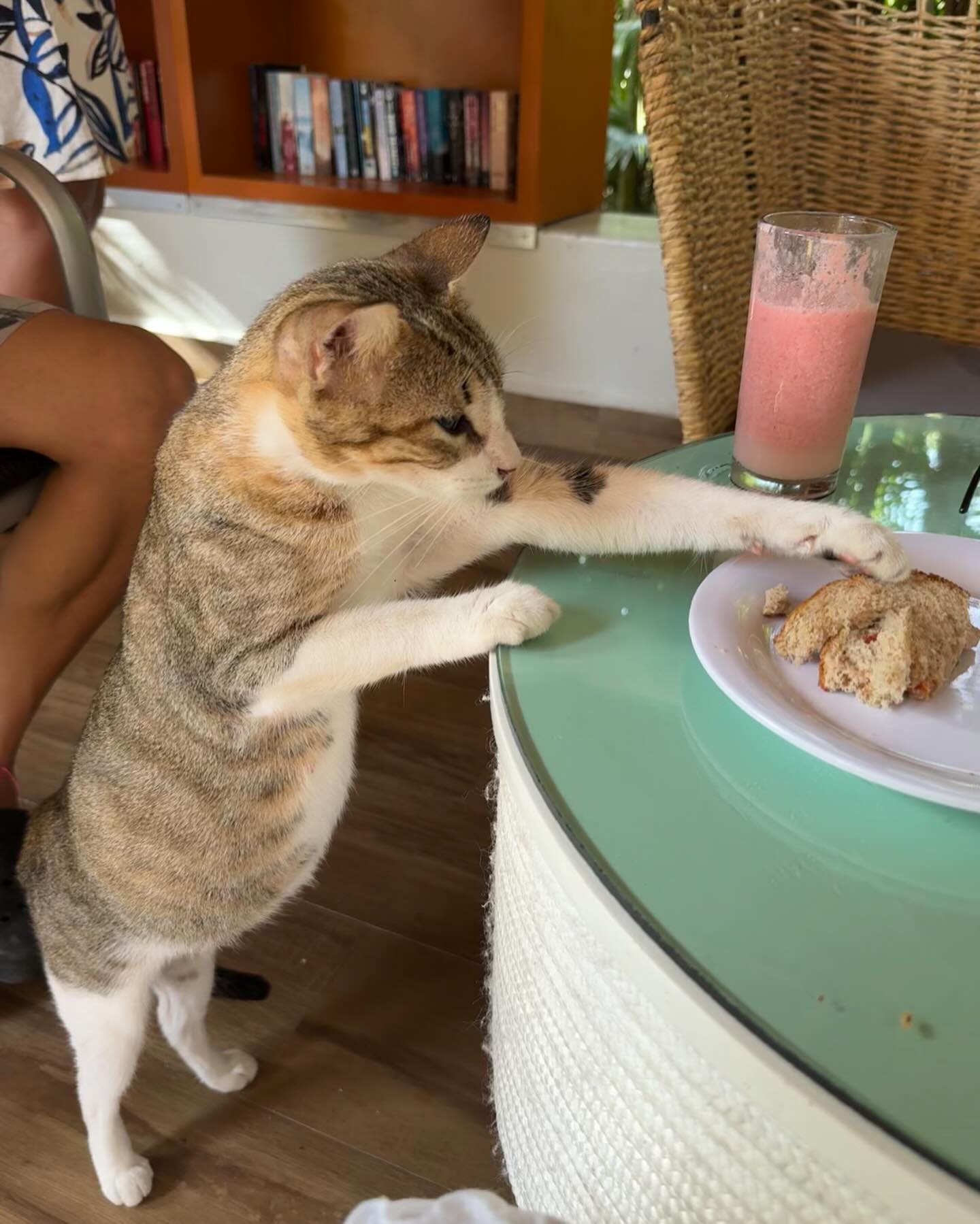 shunli__mei instagram image archive image