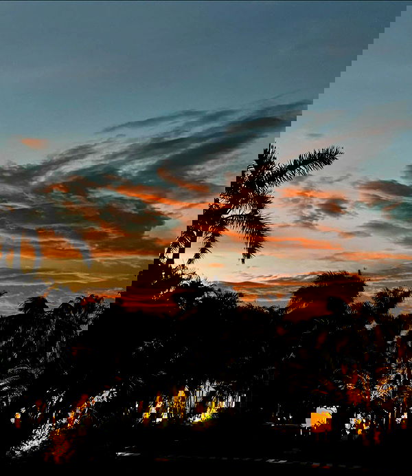 shunli__mei image ~ Altpins