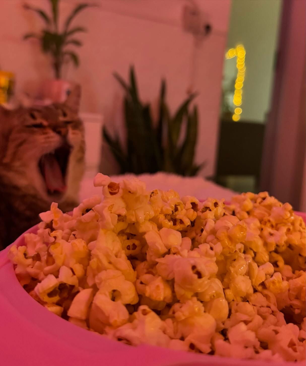 shunli__mei instagram image archive image