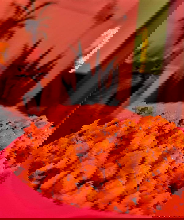 shunli__mei image ~ Altpins