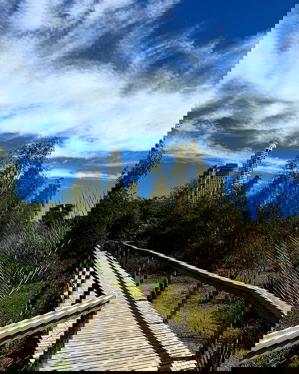 shunli__mei image ~ Altpins