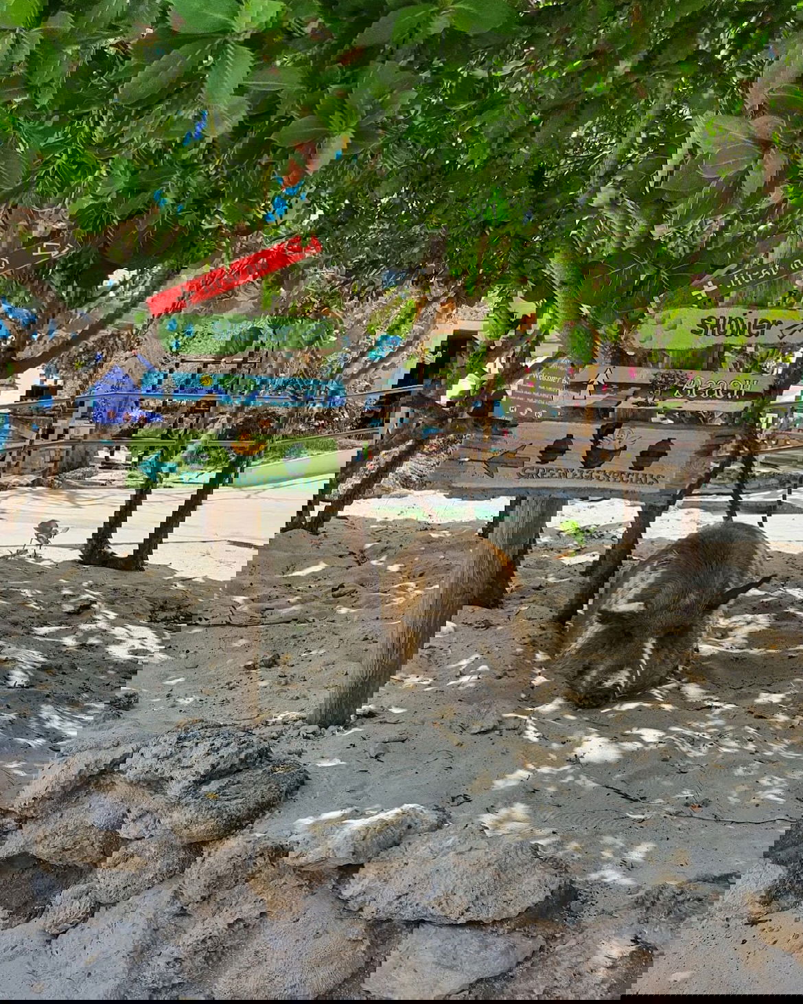 shunli__mei instagram image archive image