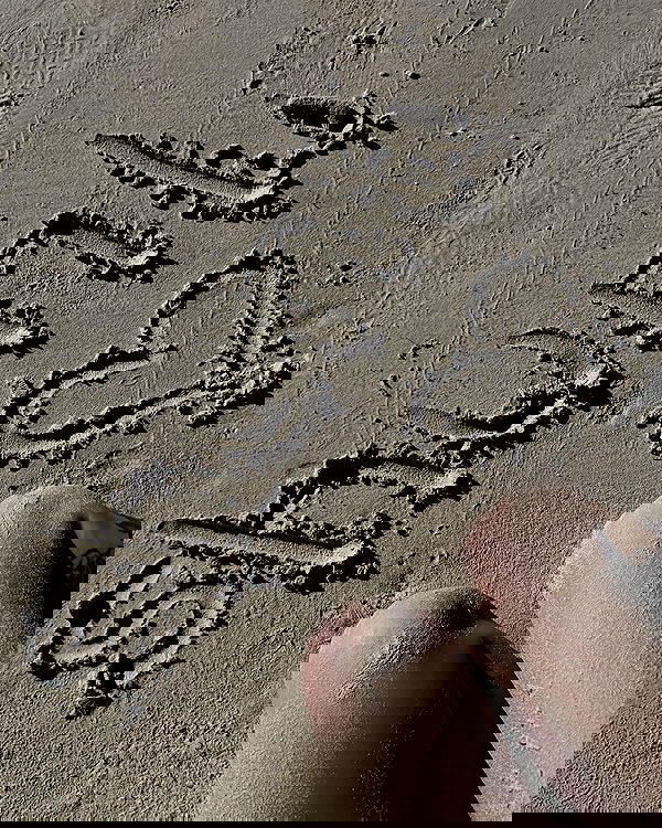 shunli__mei image ~ Altpins