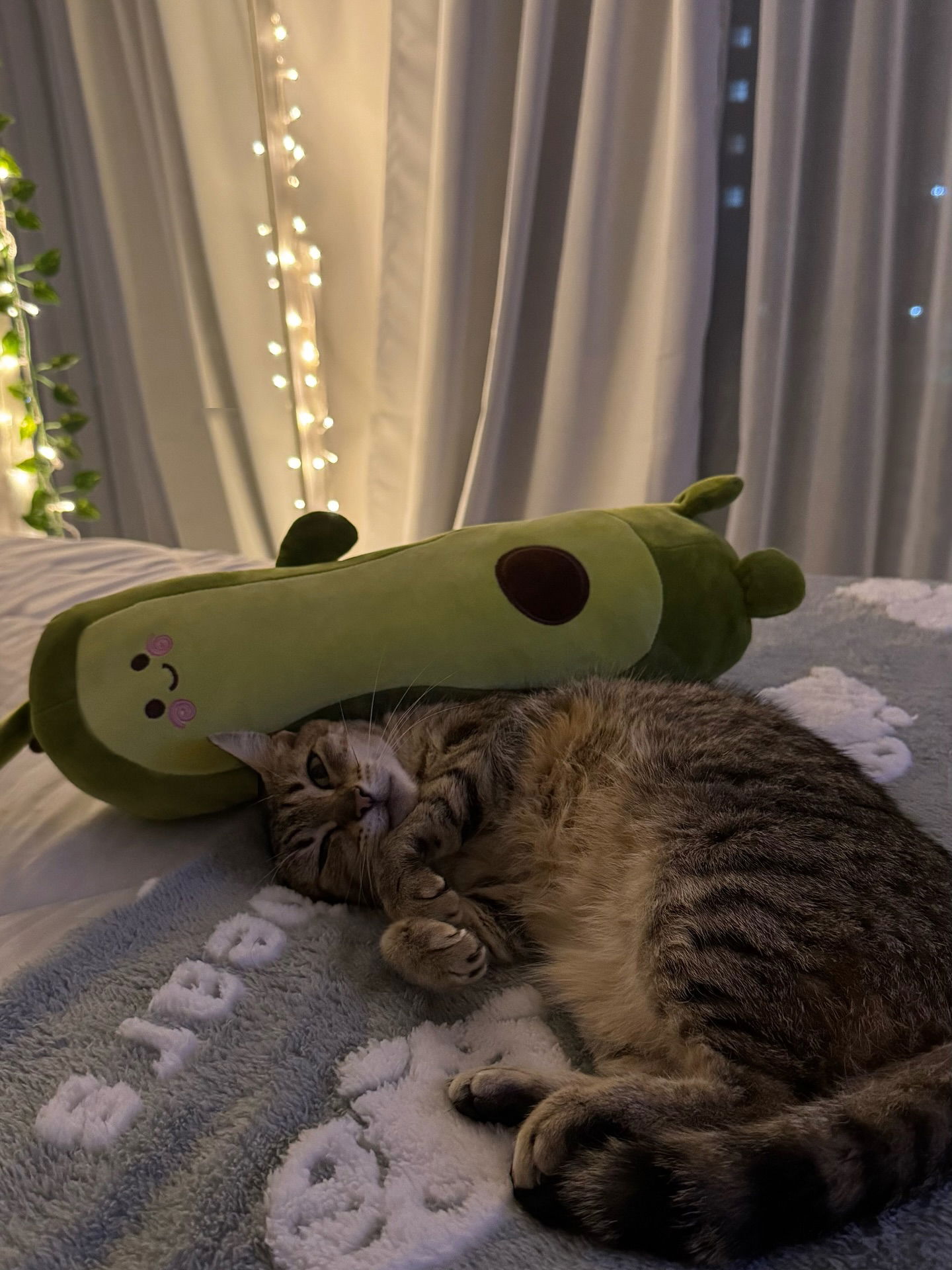 shunli__mei instagram image archive image