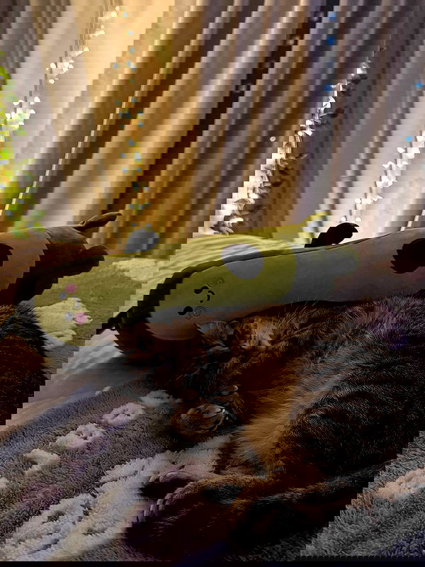 shunli__mei image ~ Altpins