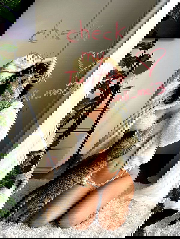 shunli__mei image ~ Altpins