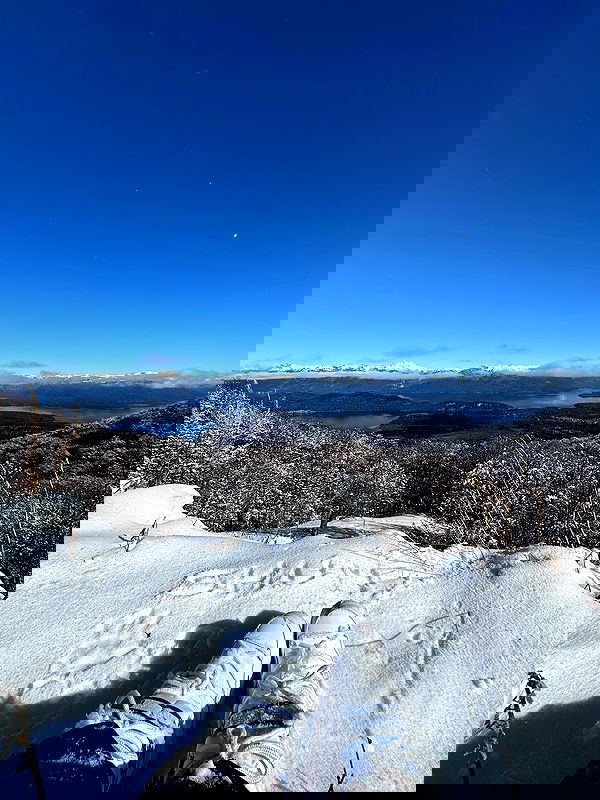 shunli__mei image ~ Altpins