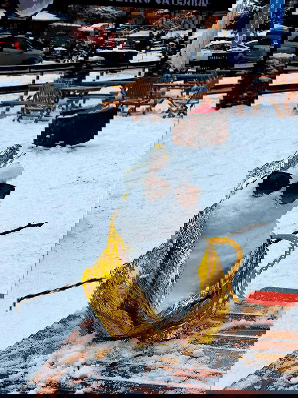 shunli__mei image ~ Altpins