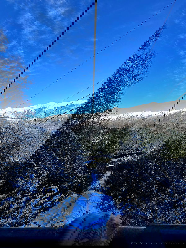 shunli__mei image ~ Altpins