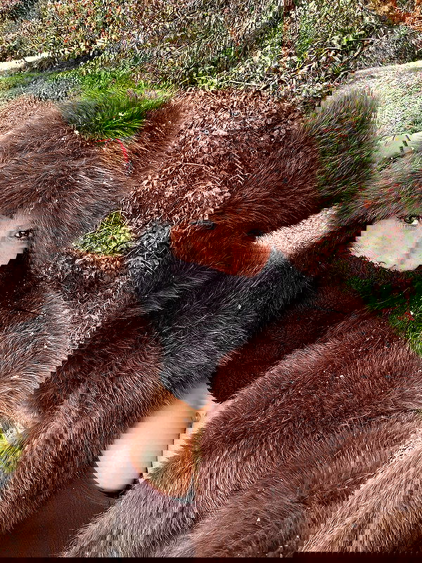 shunli__mei image ~ Altpins