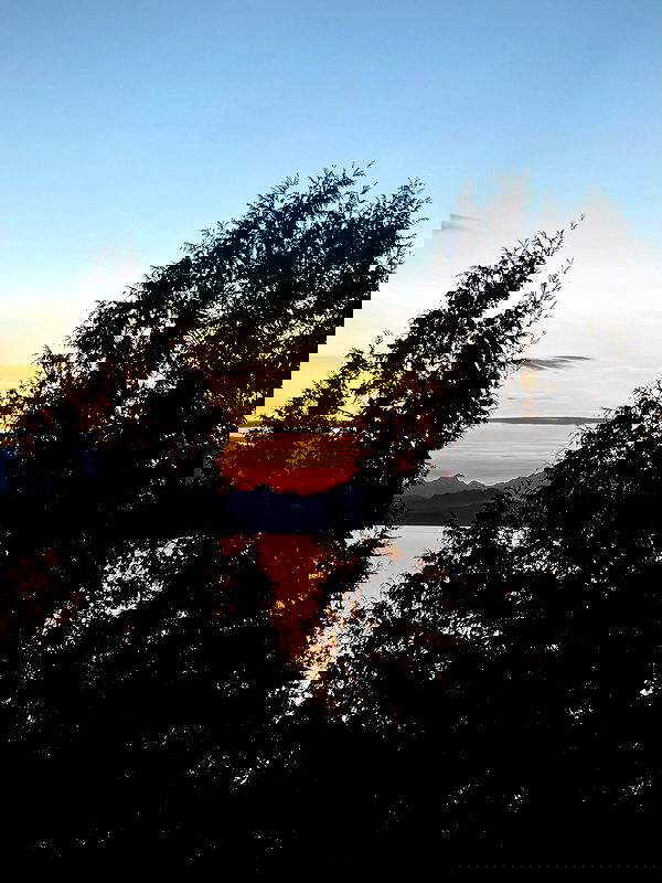 shunli__mei image ~ Altpins