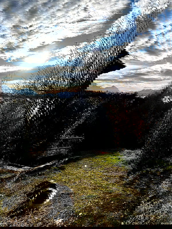 shunli__mei image ~ Altpins