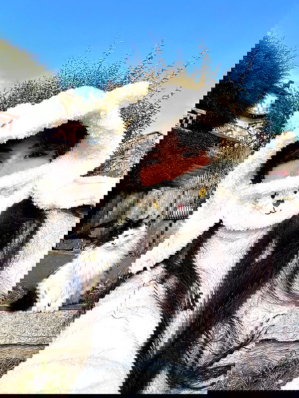 shunli__mei image ~ Altpins