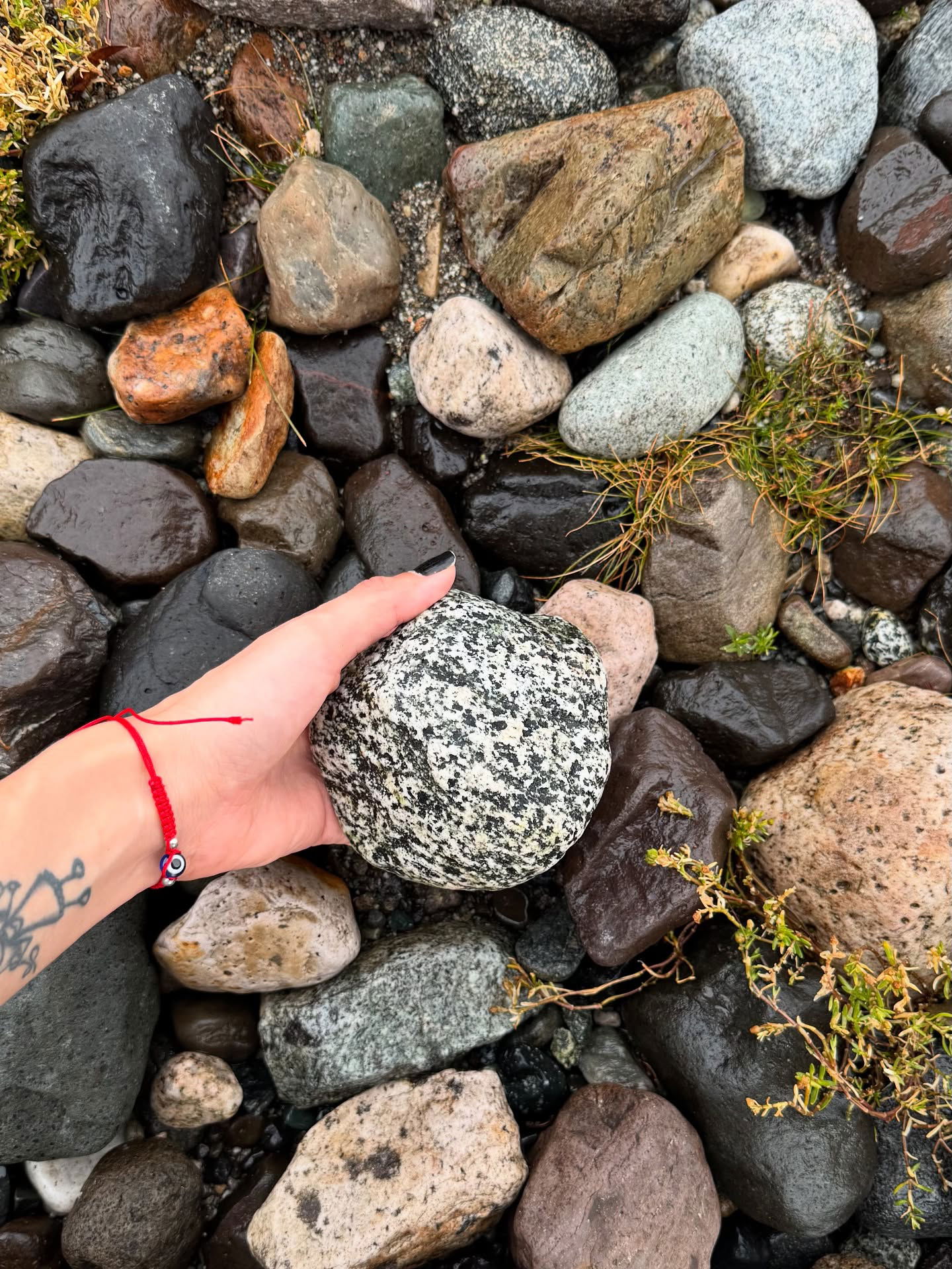 shunli__mei instagram image archive image