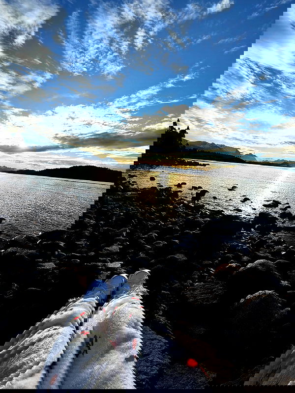 shunli__mei image ~ Altpins