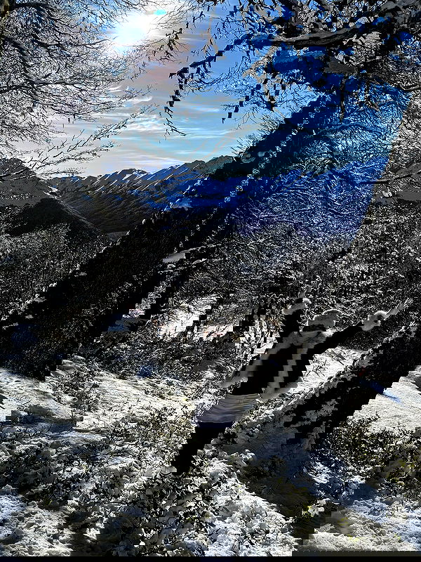 shunli__mei image ~ Altpins