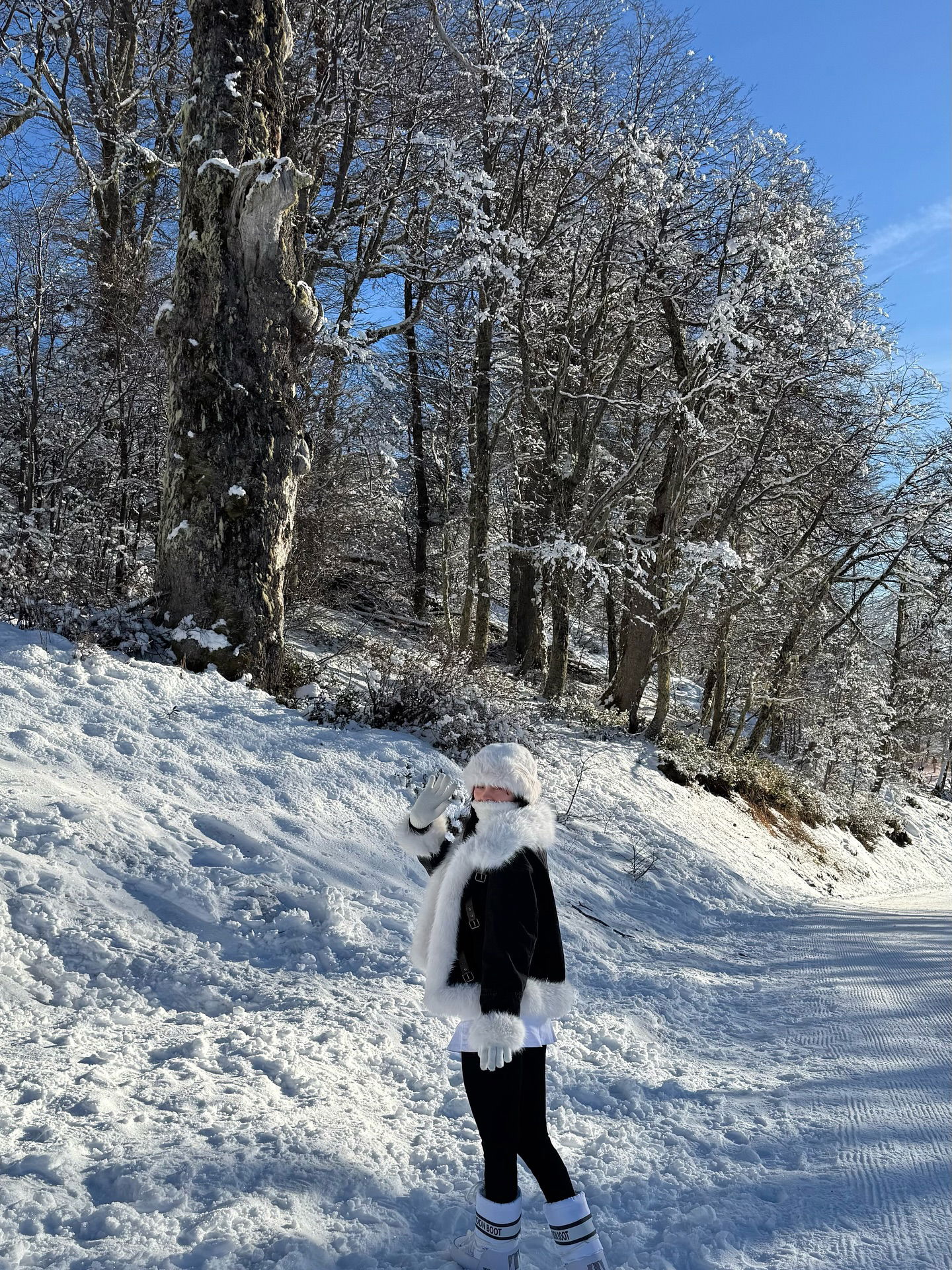 shunli__mei instagram image archive image