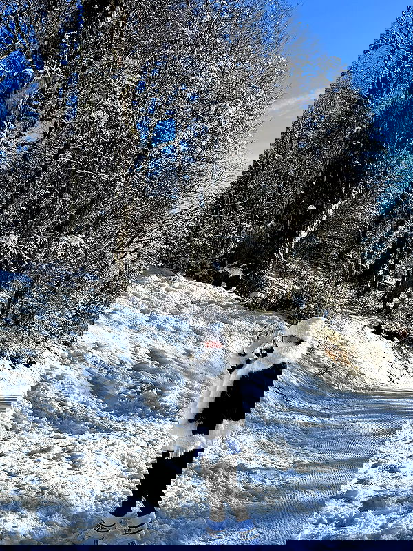 shunli__mei image ~ Altpins