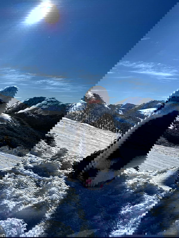 shunli__mei image ~ Altpins