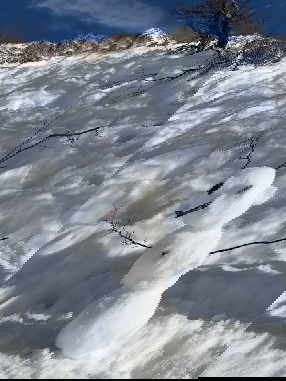 shunli__mei instagram image archive image