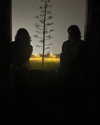 shvuty__ Altpins Profile Picture