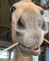 shvuty__ Altpins Profile Picture