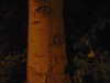 shvuty__ Altpins Profile Picture
