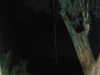 shvuty__ Altpins Profile Picture