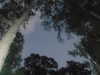 shvuty__ Altpins Profile Picture