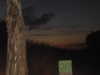 shvuty__ Altpins Profile Picture