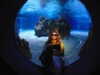 shvuty__ Altpins Profile Picture