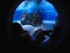 shvuty__ Altpins Profile Picture