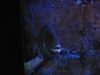 shvuty__ Altpins Profile Picture