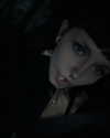 si11yc0rpse Altpins Profile Picture