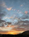 siel_pinto Altpins Profile Picture