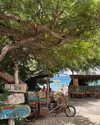 siel_pinto Altpins Profile Picture