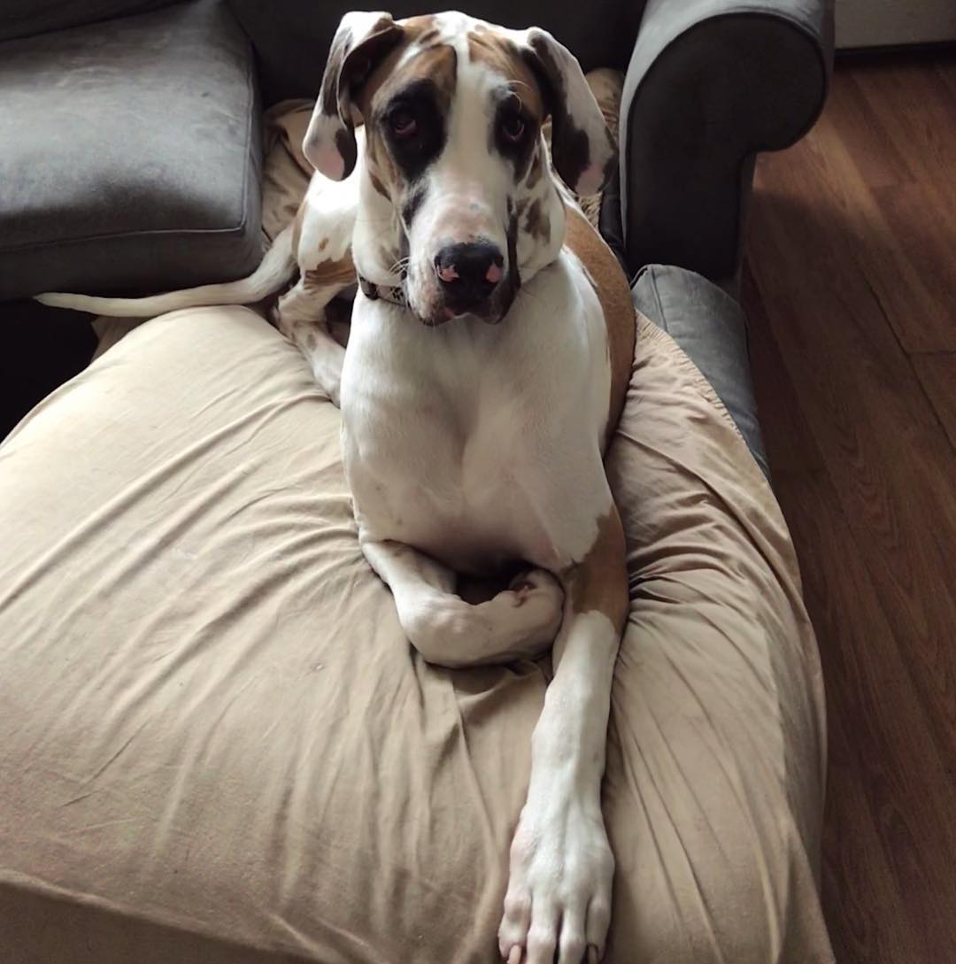 sightthefae instagram image archive image