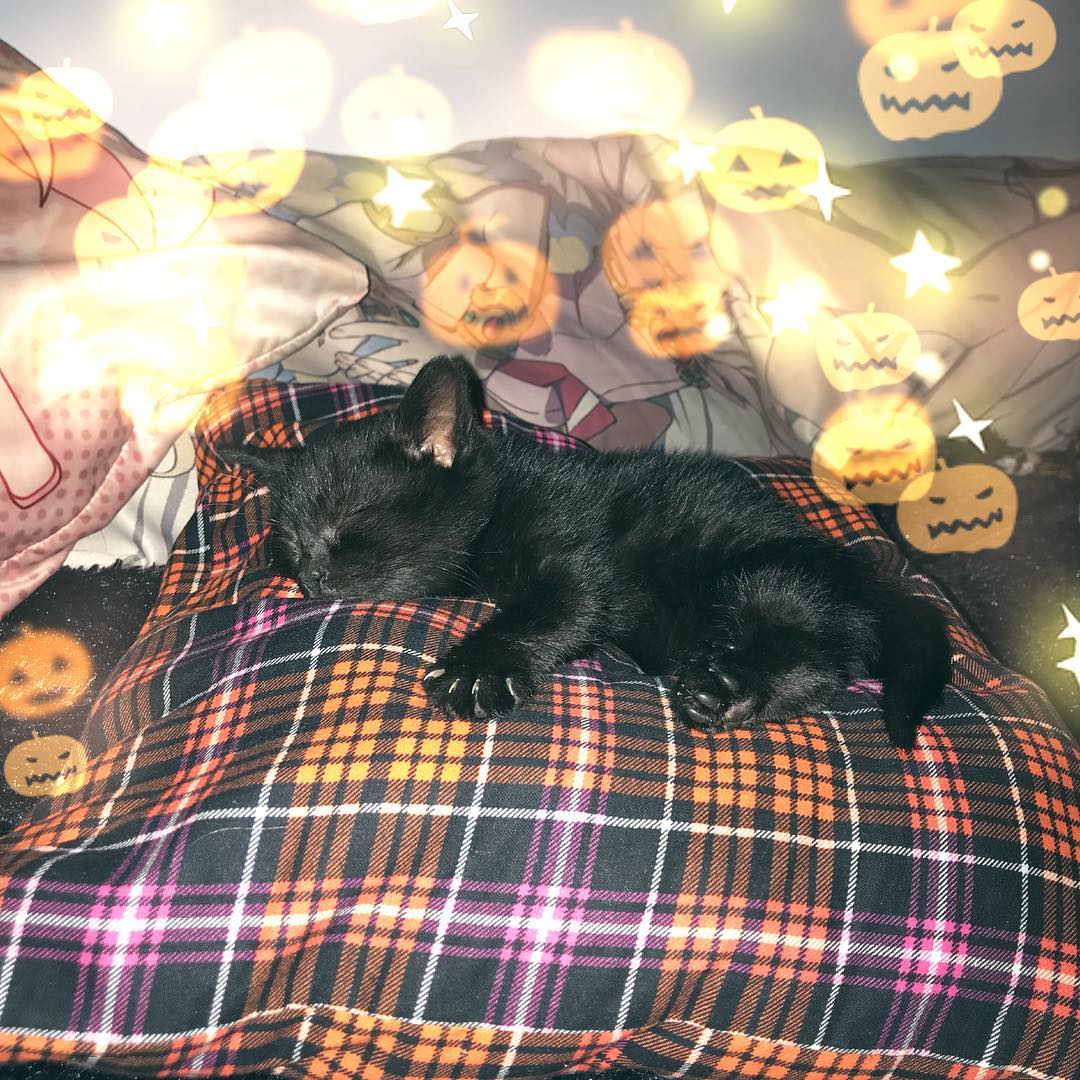 sightthefae instagram image archive image