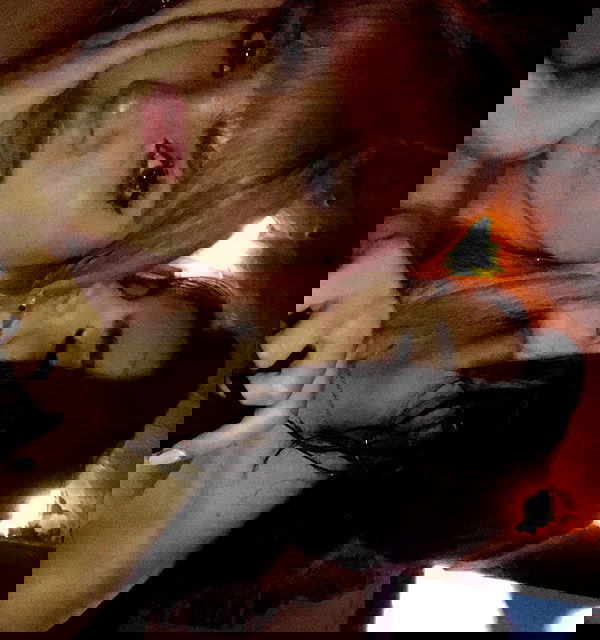 sightthefae image ~ Altpins