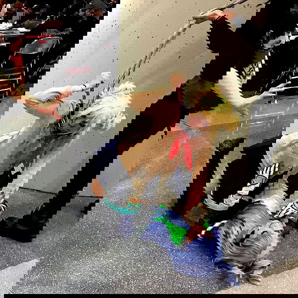 sightthefae image ~ Altpins