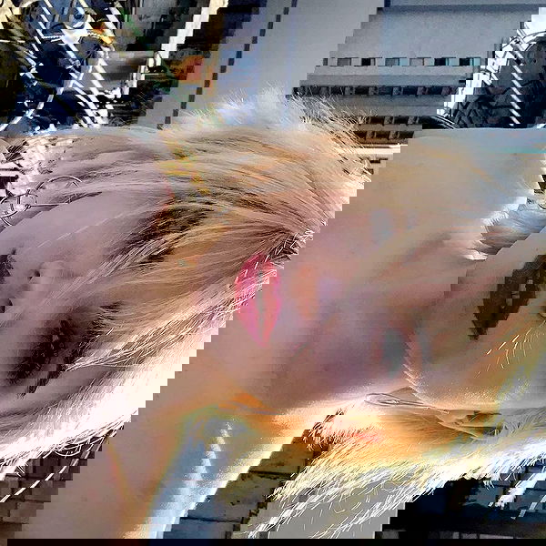 sightthefae image ~ Altpins