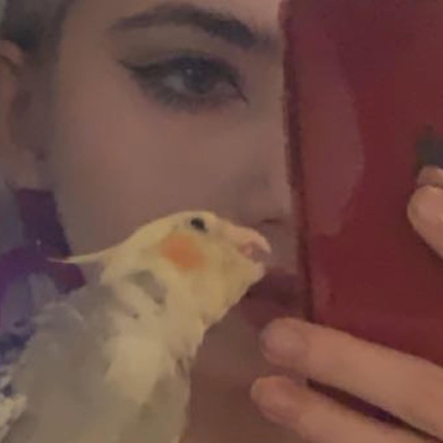 sightthefae instagram image archive image